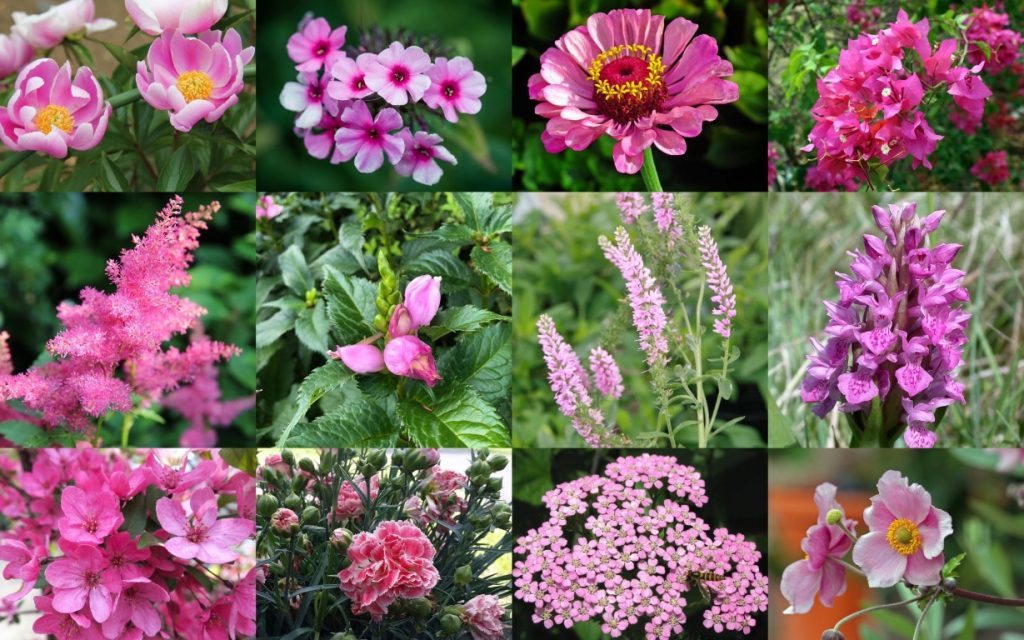 Florgeous