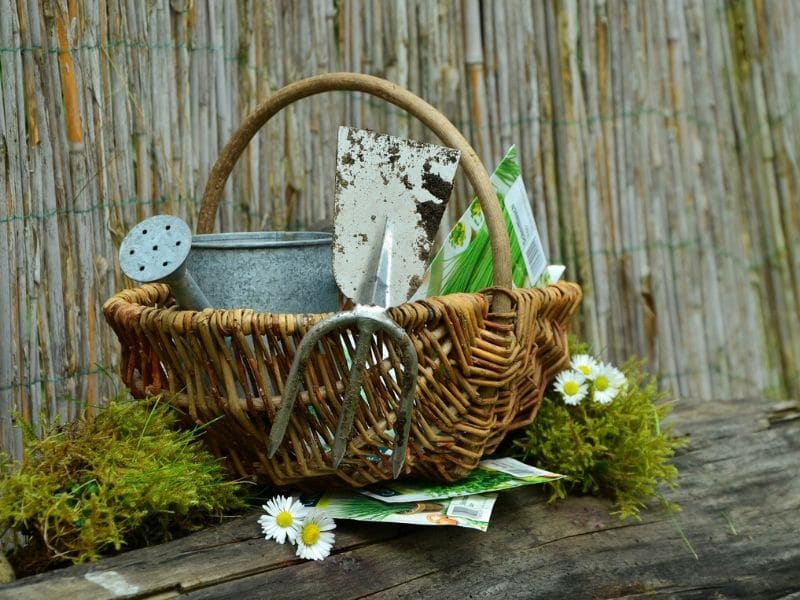 garden tools in a basket
