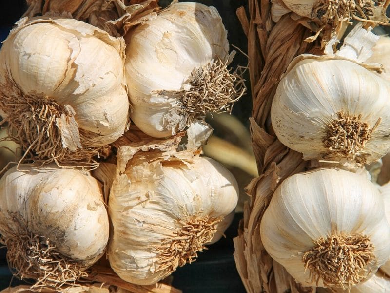 garlic garland