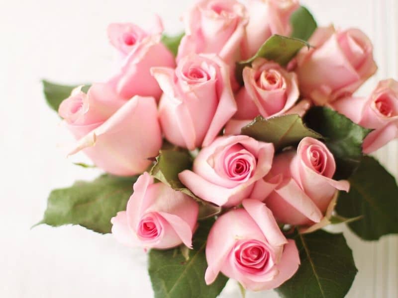rose wedding flower