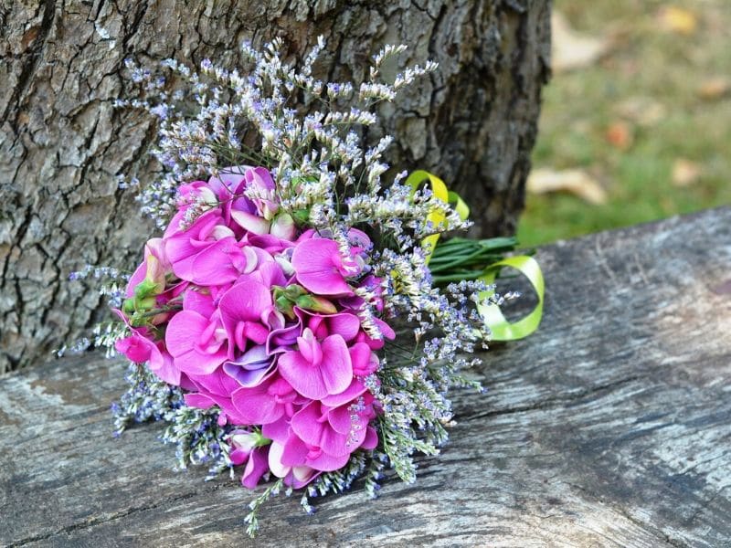 sweet pea wedding flower