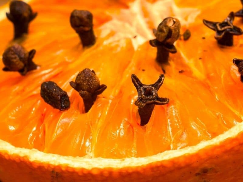 clove in an orange