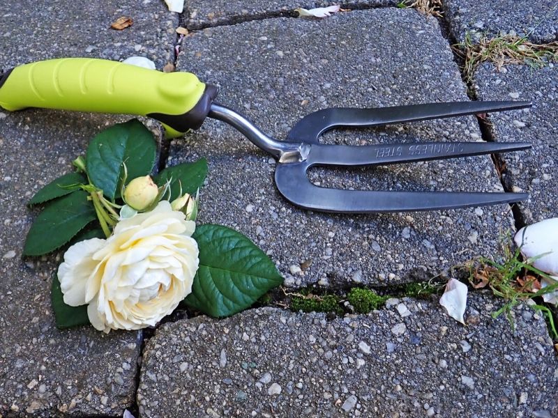 garden hand fork