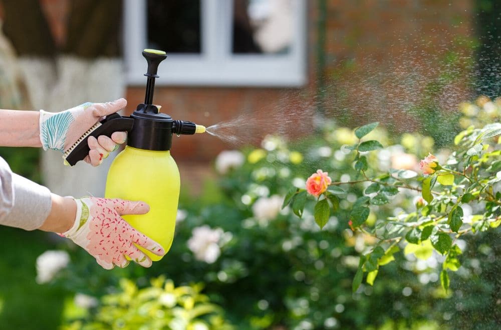 garden hand sprayer