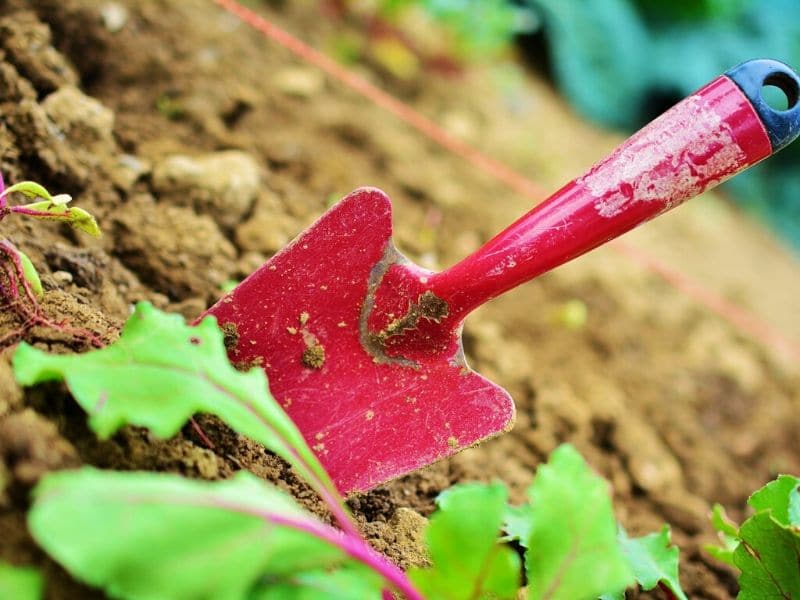 hand trowel