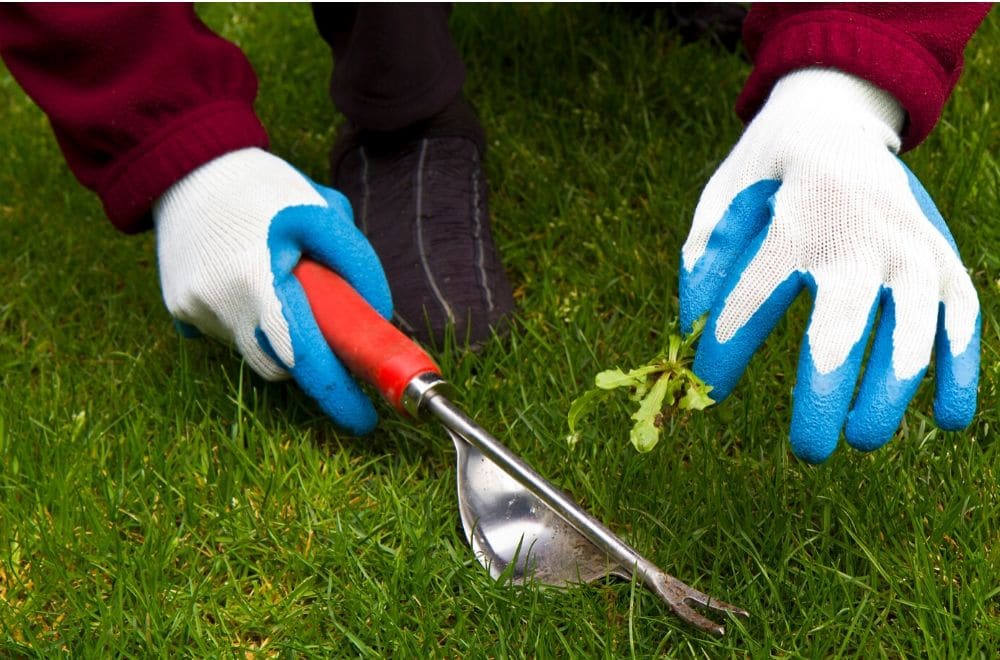 hand weeder