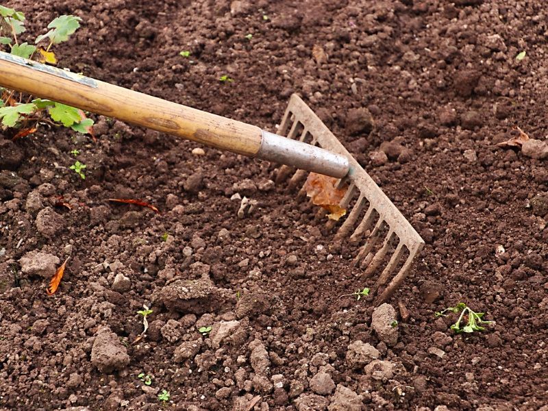 landscape rake