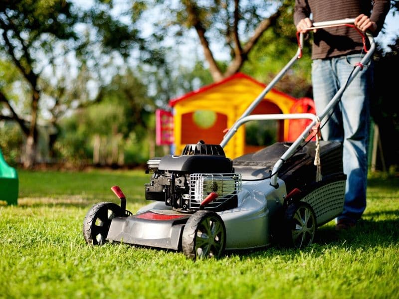 lawnmower motorized equipment