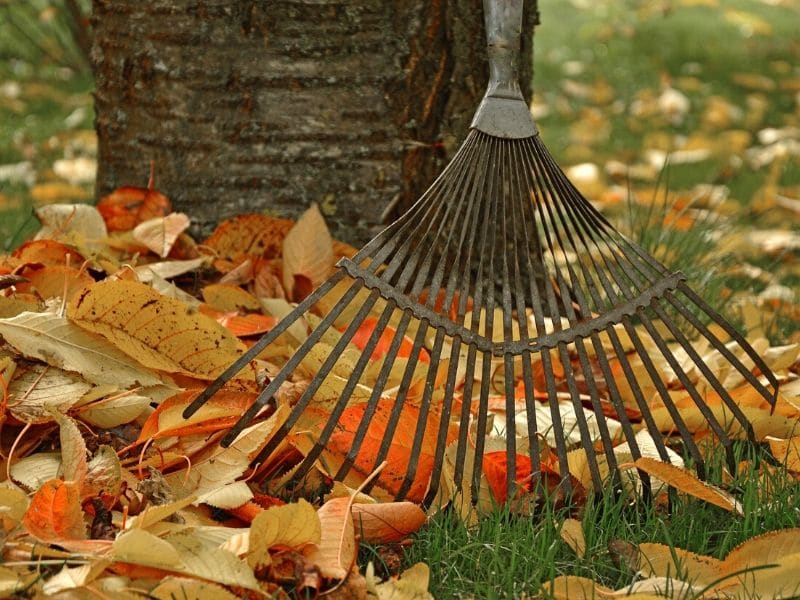 leaf rake