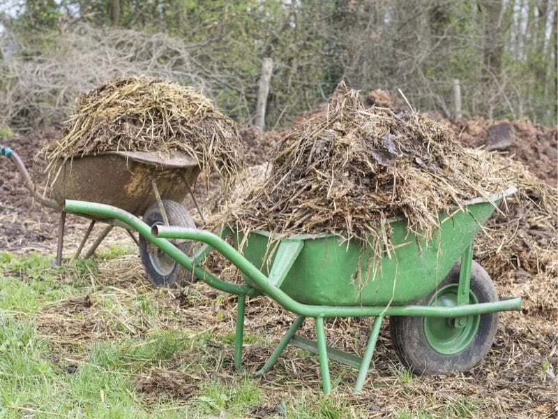 manure wheelbarrow