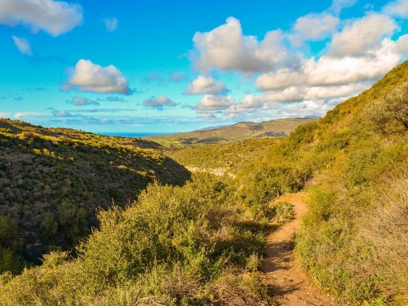 mountain trail