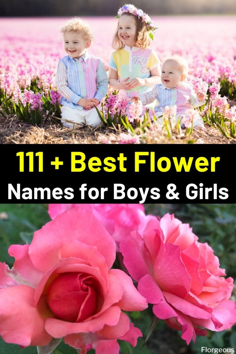Top 111 Meaningful Flower Names for Boys and Girls