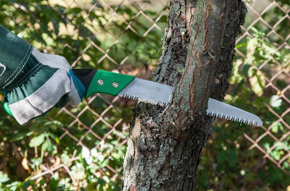 pruning saw