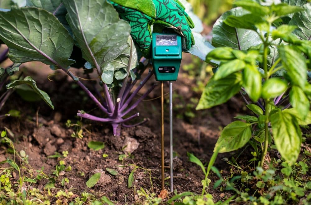 soil moisture meter tester