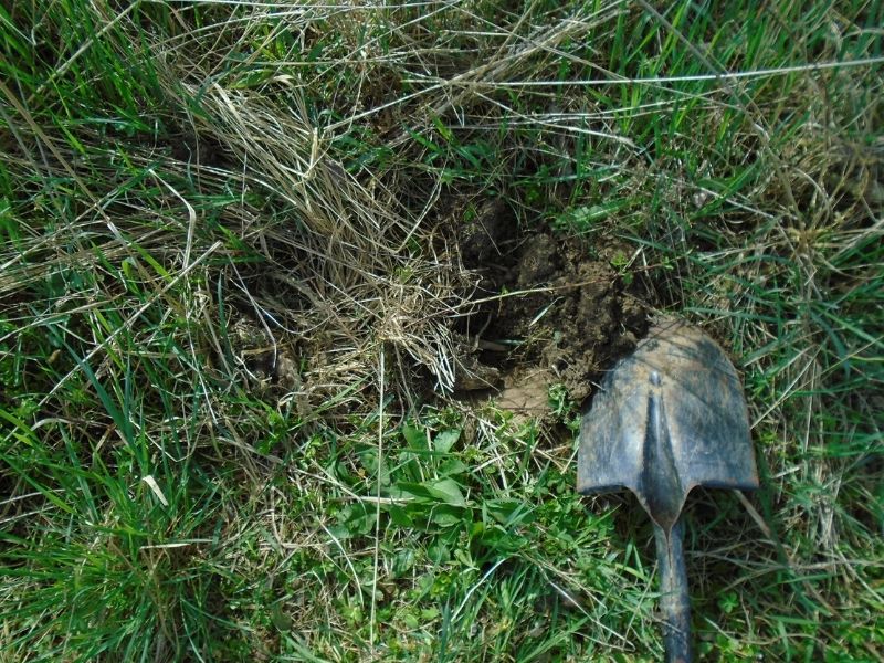 spade tool for digging