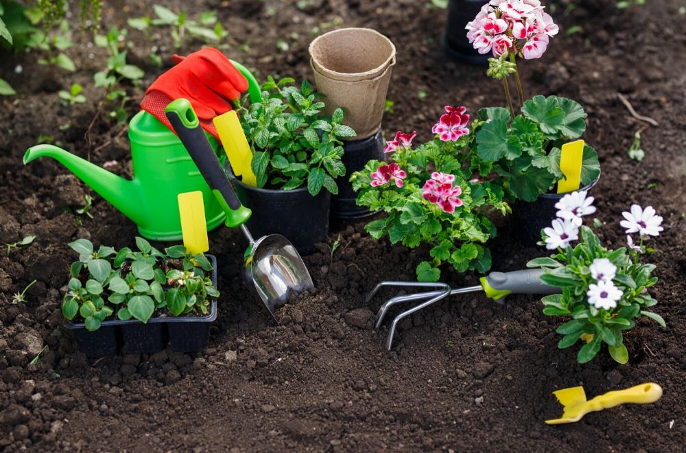 tools for planting flowers