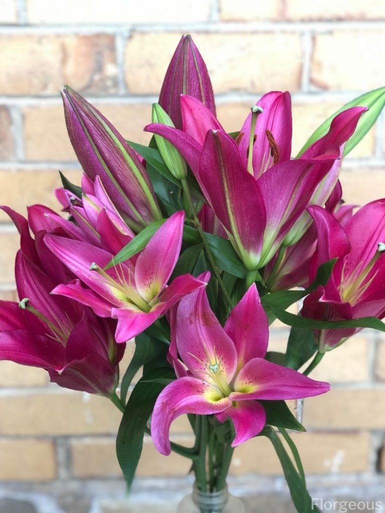 flowers in a vase