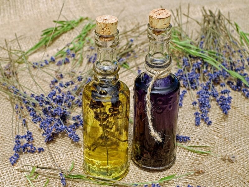 lavender oil