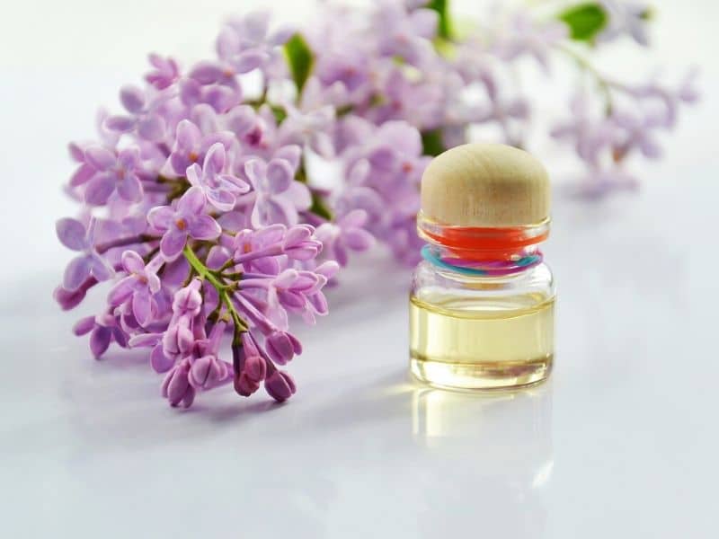 lilac aromatheraphy oil