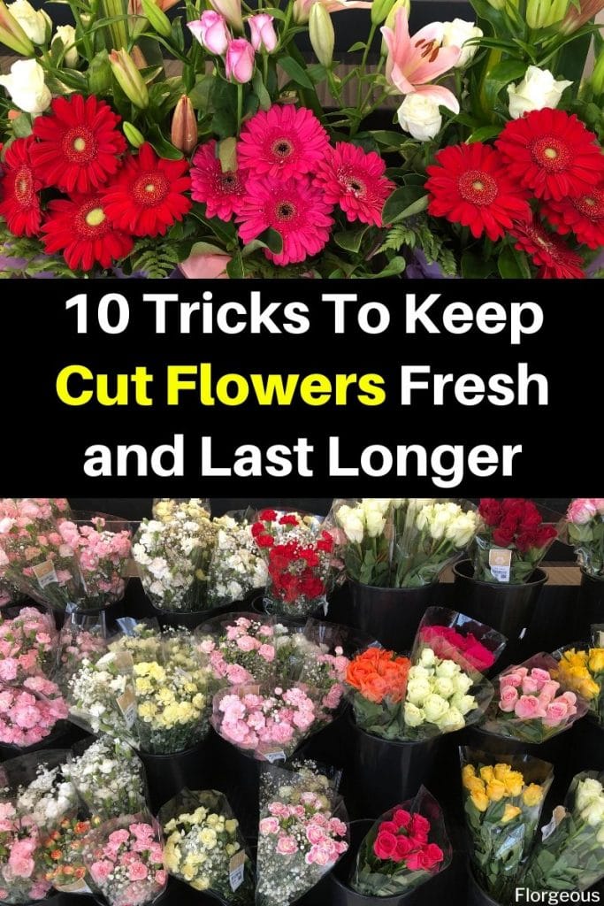 10 Ways To Make Cut Flowers in a Vase Last Longer