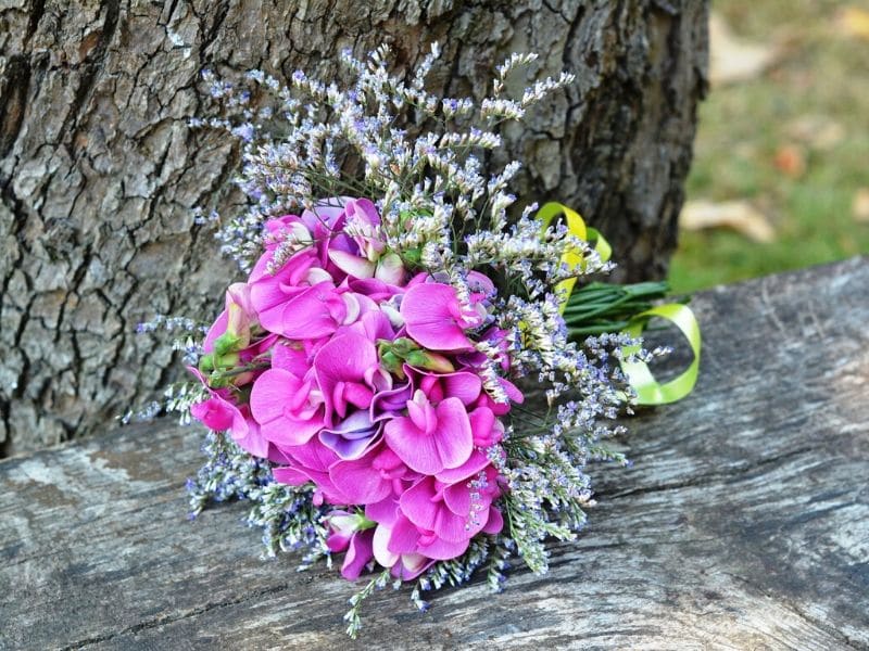 sweet pea bouquet