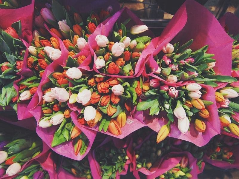 tulips bouquet