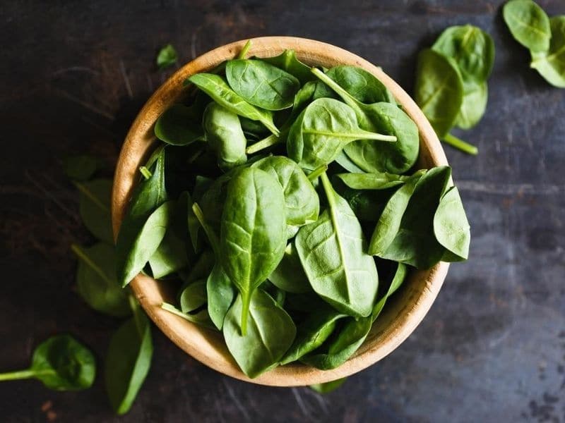 basil herb in a bowl