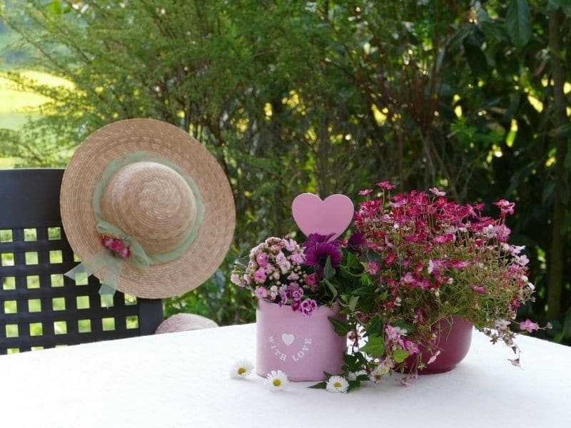 pink flowers in a table