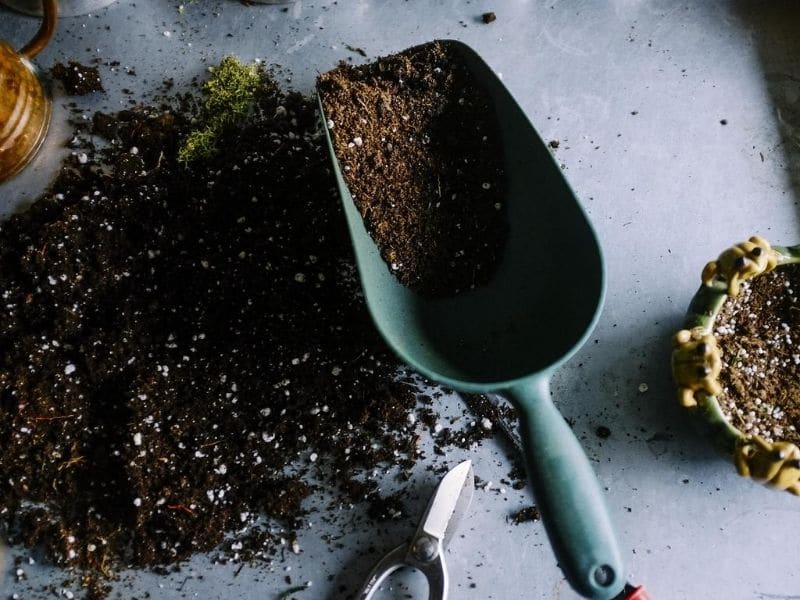 scoop of garden soil