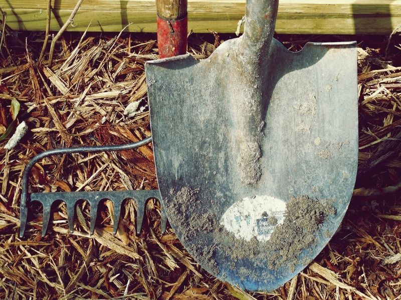 garden rake and shovel