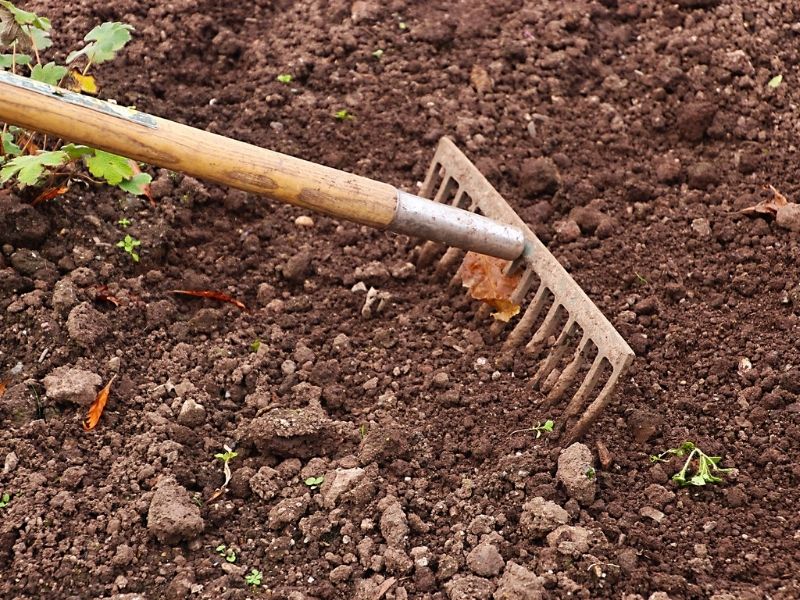 garden rake