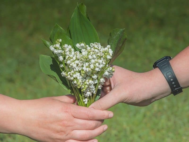 boquet of lily of the valley