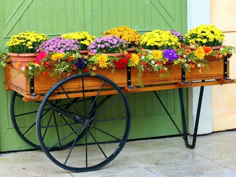 flowers in a wagon