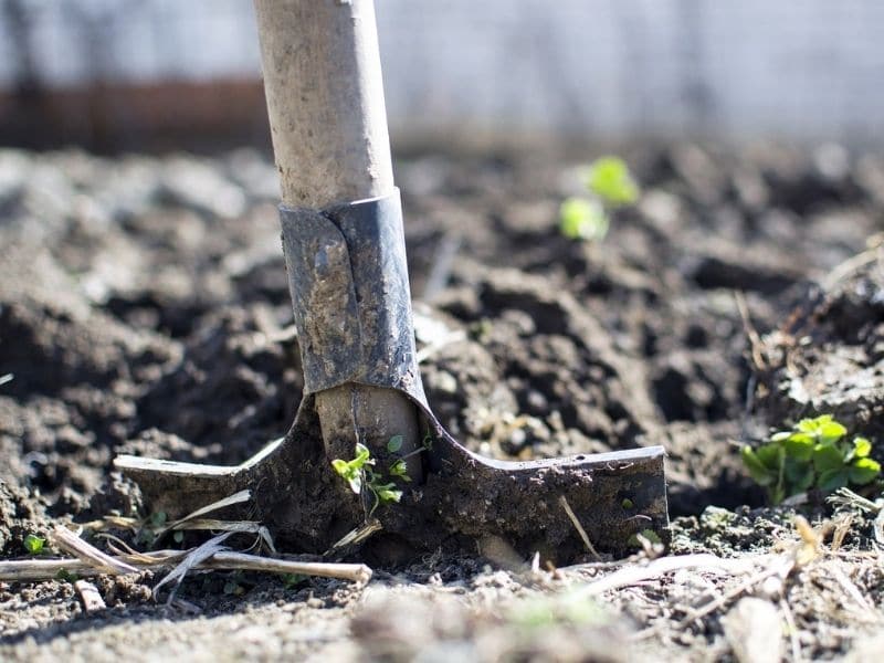 garden shovel