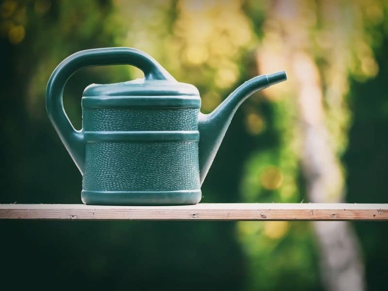 green watering can