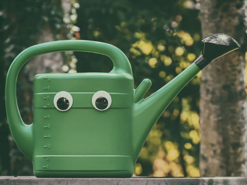 watering can