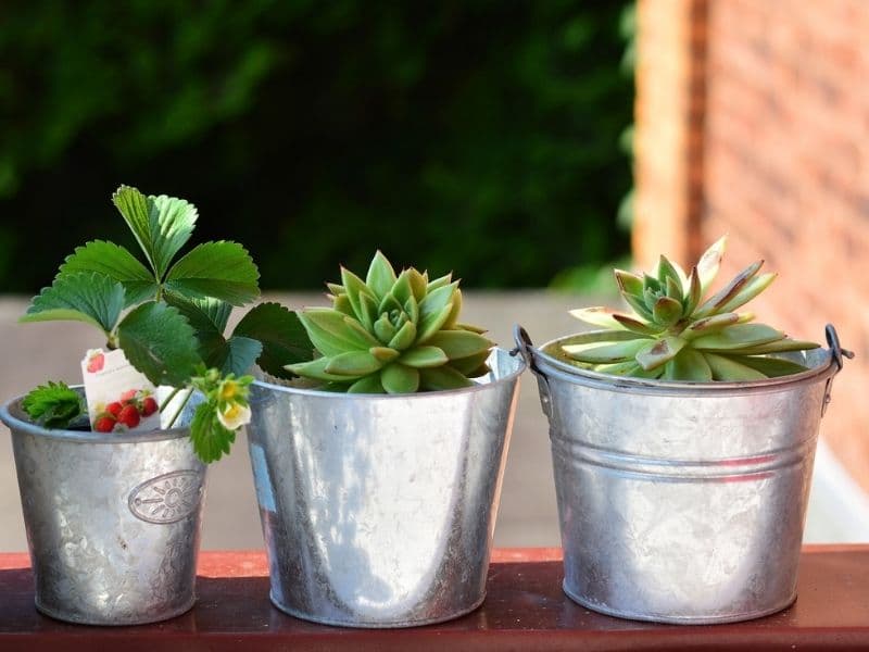 balcony pots