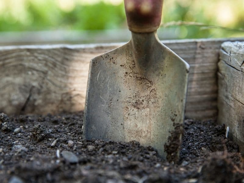 garden spade