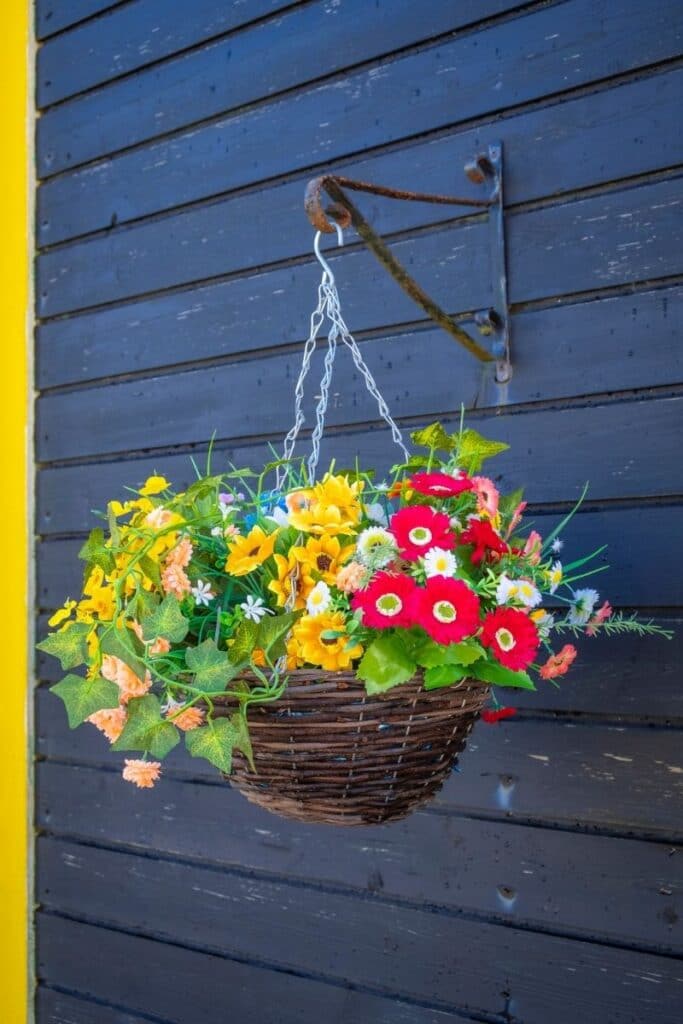 hanging flowers