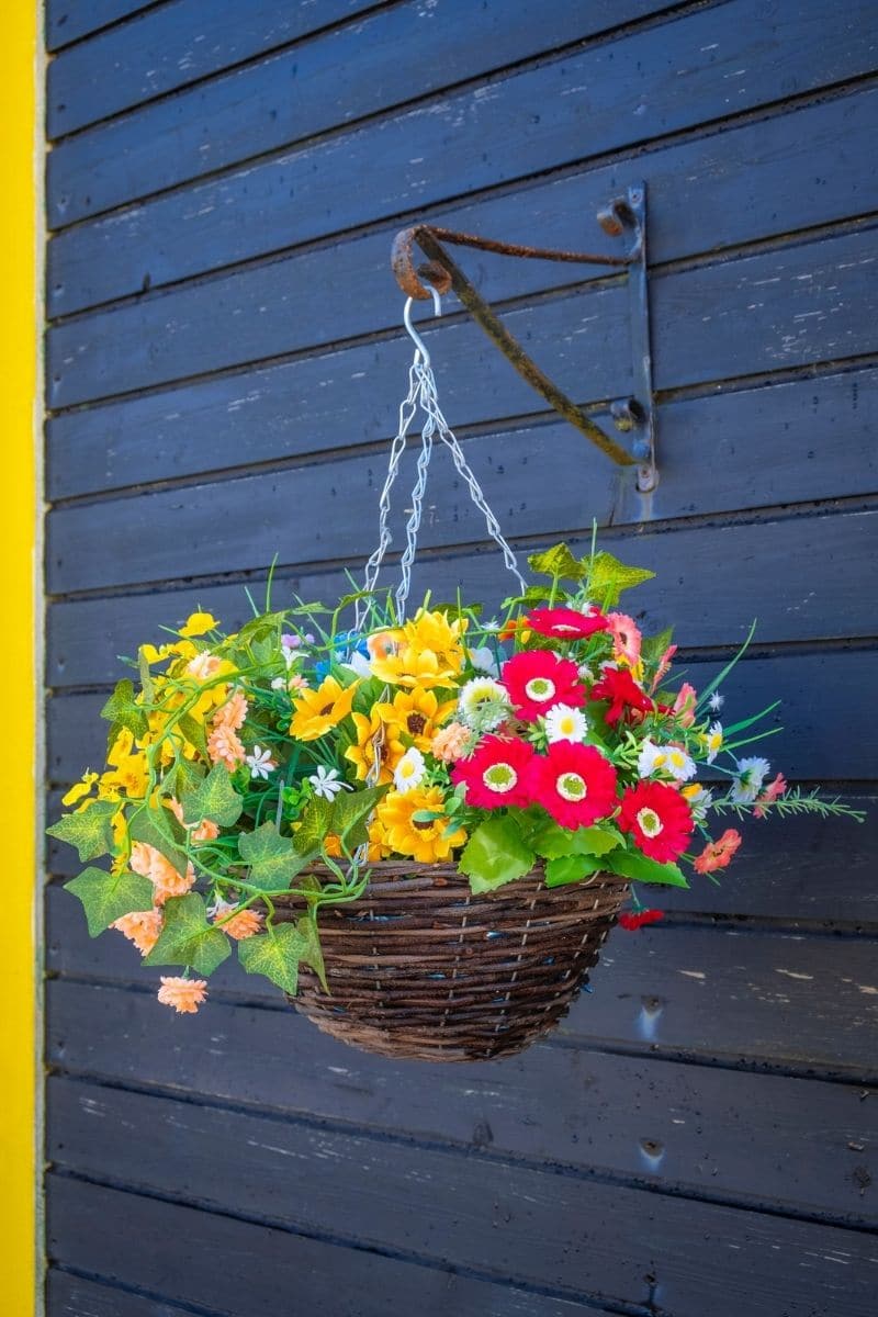 Top 16 Easy-to-Grow Flowers and Plants for Hanging Baskets | Florgeous