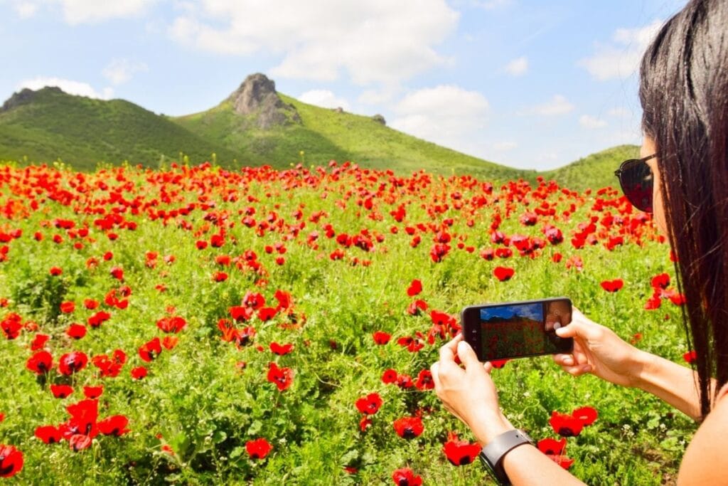 plant identification app