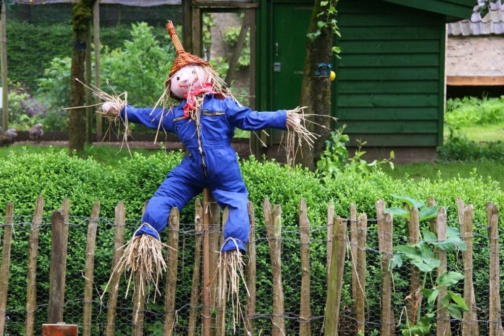 bird scarecrows