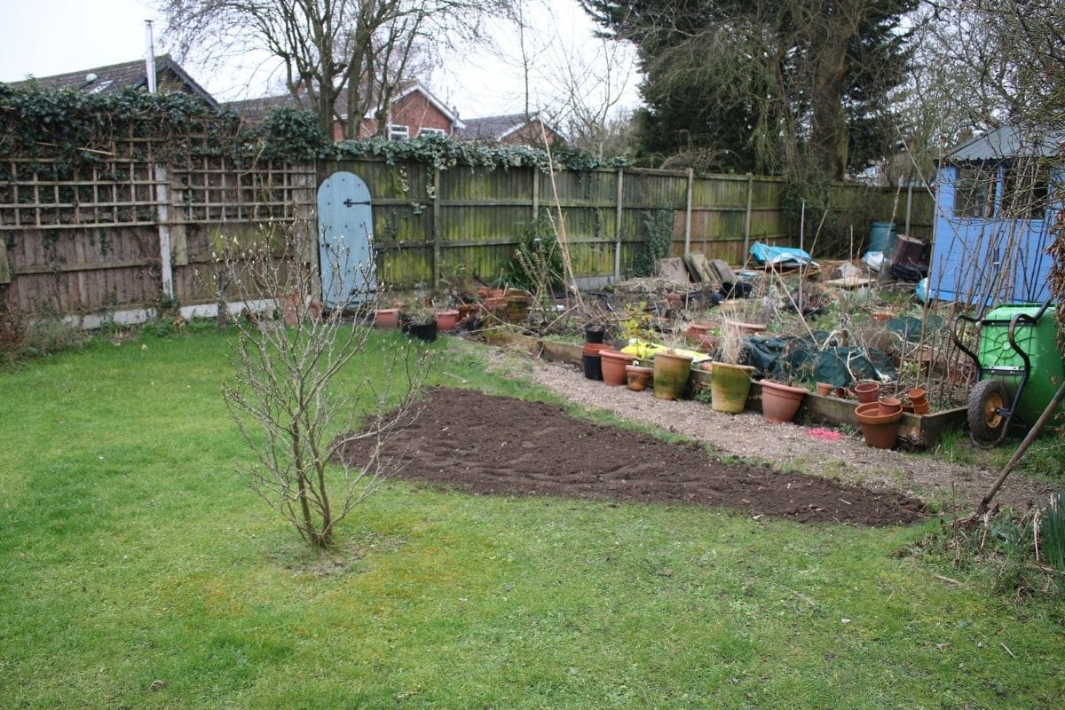 How to Improve Clay Soil for Lawns and Garden
