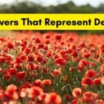 death flowers