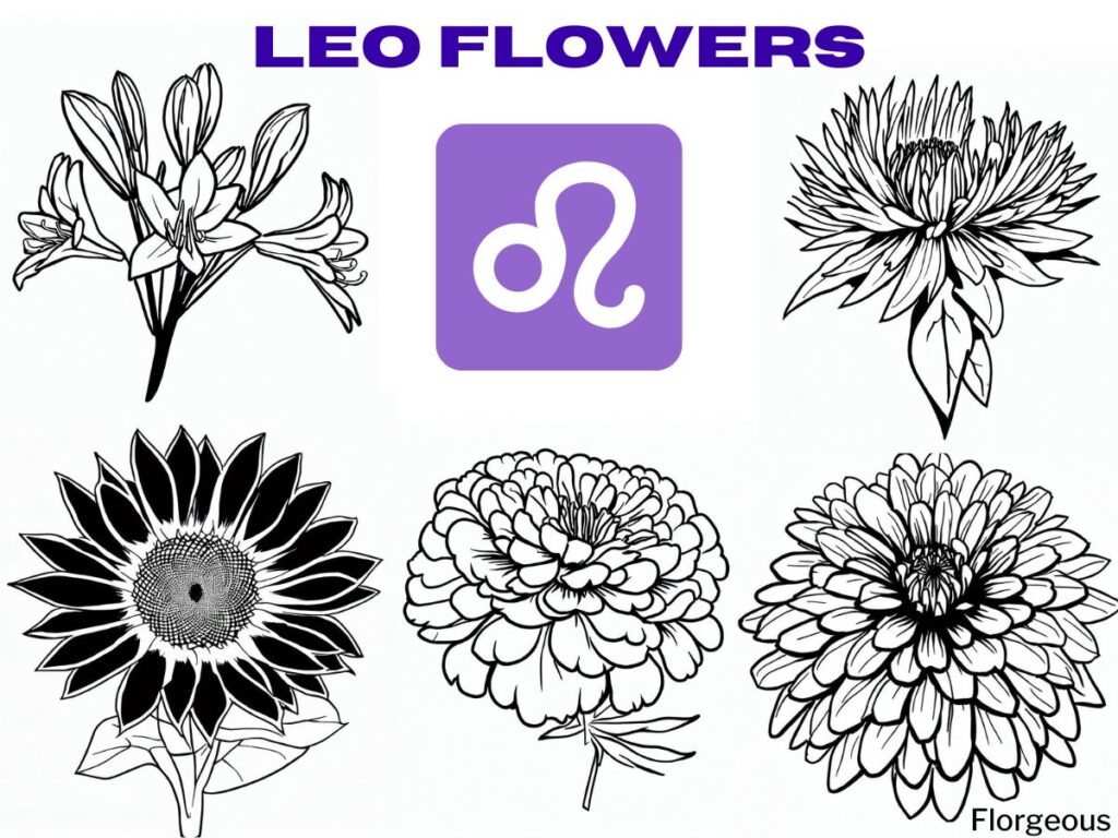 leo flower