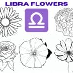 libra flower