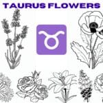 taurus flower
