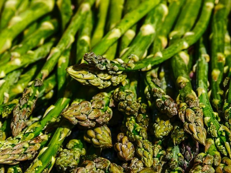 asparagus-vegetables