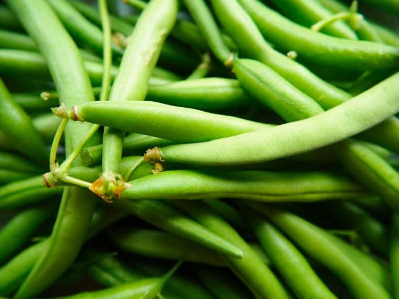 legumes-leguminosae-green-beans-vegetables