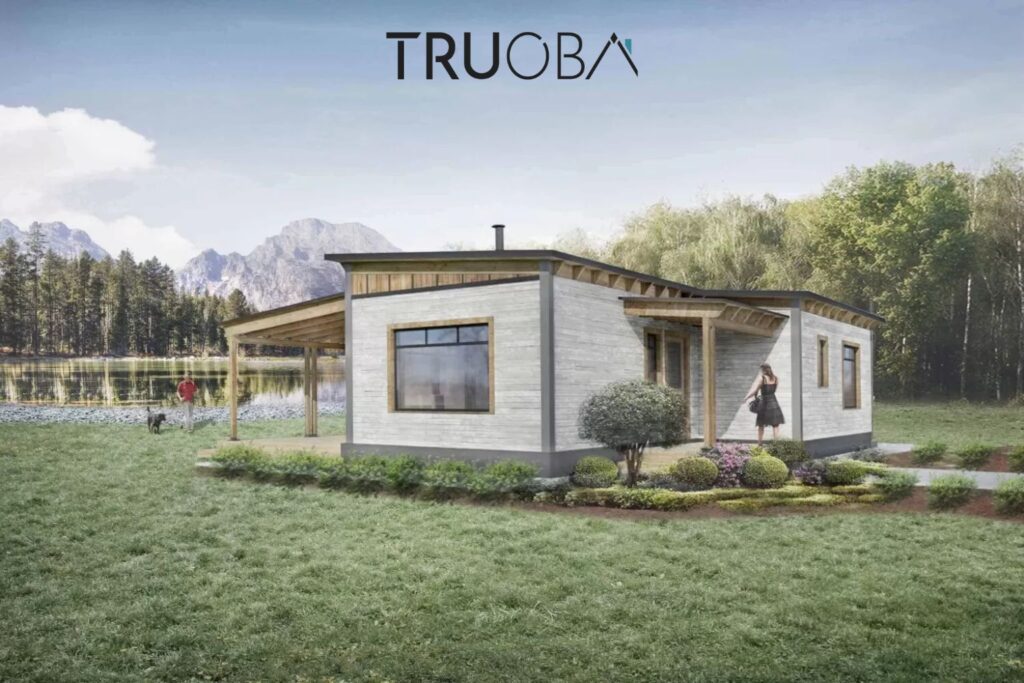 858 sqft Contemporary 2-Bedroom 1-Bathroom House Plan